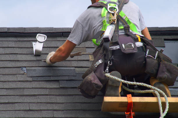 Best Roof Gutter Cleaning  in Mountain View, NC