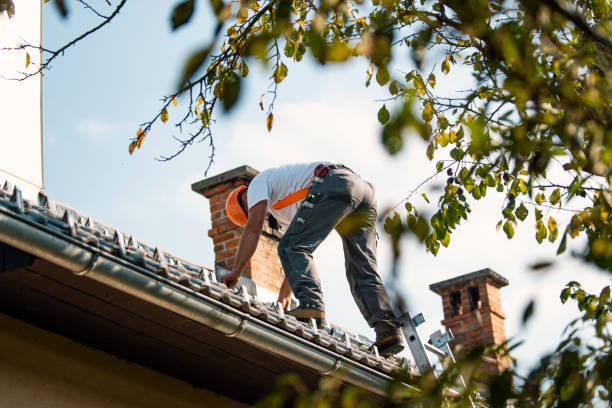 Best Storm Damage Roof Repair  in Mountain View, NC